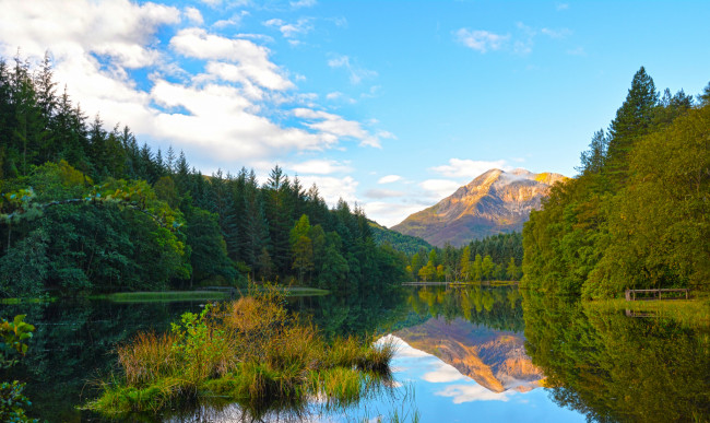 Обои картинки фото природа, реки, озера, лес, река