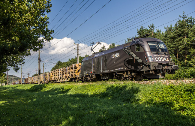 Обои картинки фото техника, электровозы, состав, локомотив