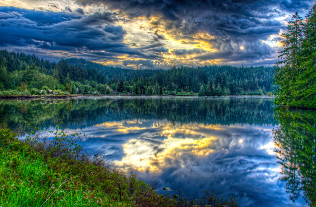 Обои картинки фото природа, реки, озера, река, лес