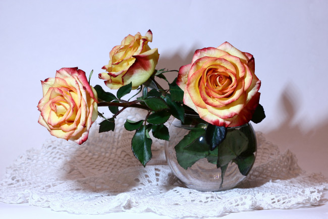 Обои картинки фото цветы, розы, букеты, композиции, мбг, натюрморты, нфд, рц, салфетка