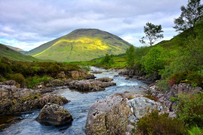 Обои картинки фото природа, реки, озера, лес, река