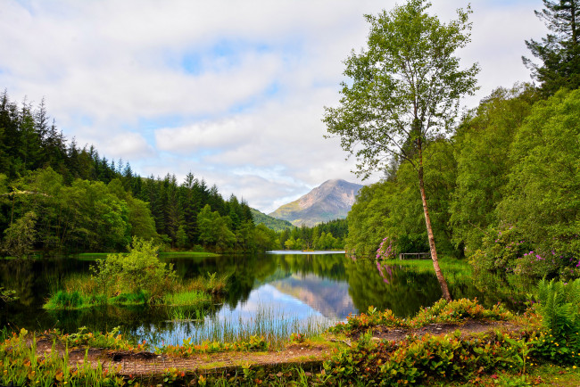 Обои картинки фото природа, реки, озера, лес, река