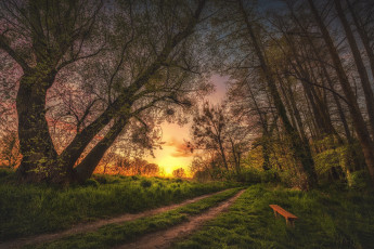 Картинка природа дороги простор