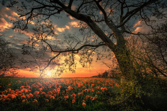 Картинка природа восходы закаты простор