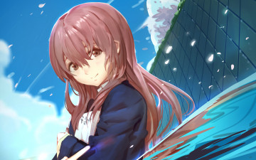 Картинка аниме koe+no+katachi форма голоса