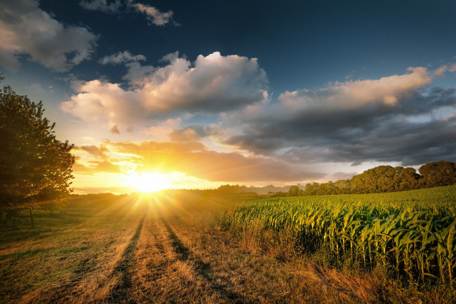 Обои картинки фото природа, восходы, закаты, простор