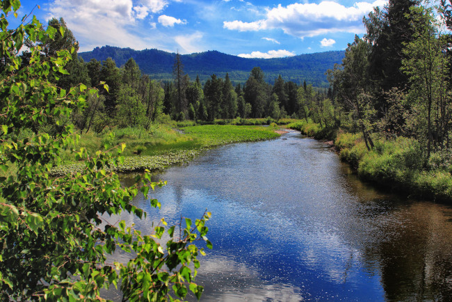 Обои картинки фото юрюзань, природа, реки, озера, россия, горы, лес, река