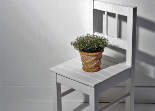 Картинка цветы стул горшок цветок