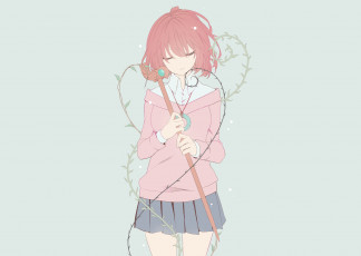 Картинка аниме mahou+tsukai+no+yome невеста чародея