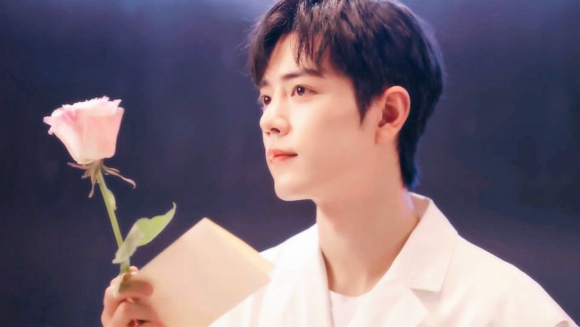 Обои картинки фото мужчины, xiao zhan, актер, лицо, роза, цветок