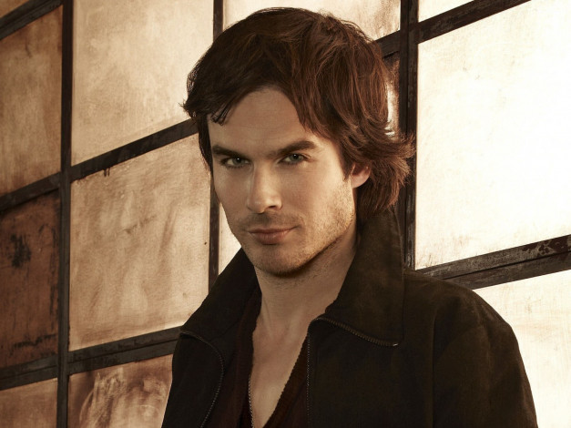 Обои картинки фото кино фильмы, the vampire diaries, вампир, окно