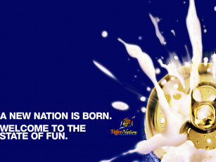 Картинка бренды tiger