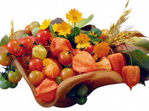 Картинка еда фрукты ягоды