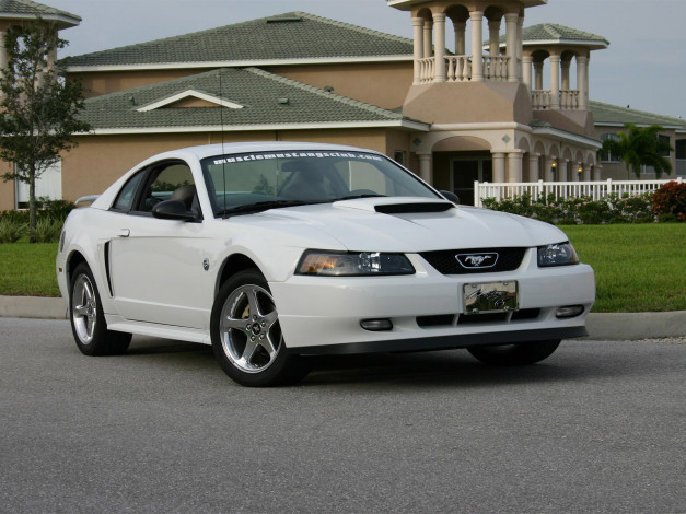 Обои картинки фото автомобили, ford