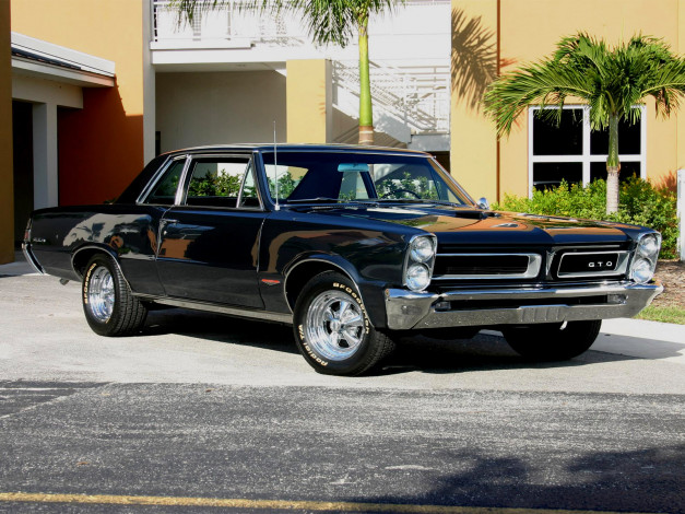 Обои картинки фото автомобили, pontiac