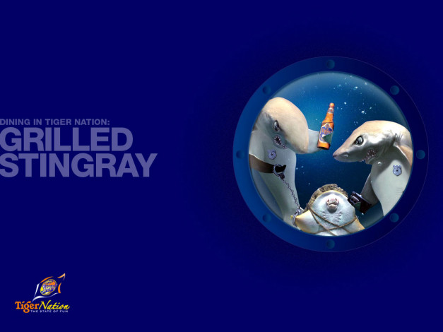 Обои картинки фото бренды, tiger