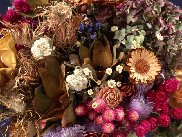 Обои картинки фото цветы, разные, вместе