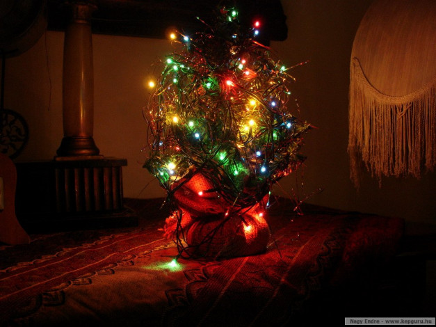 Обои картинки фото праздничные, Ёлки