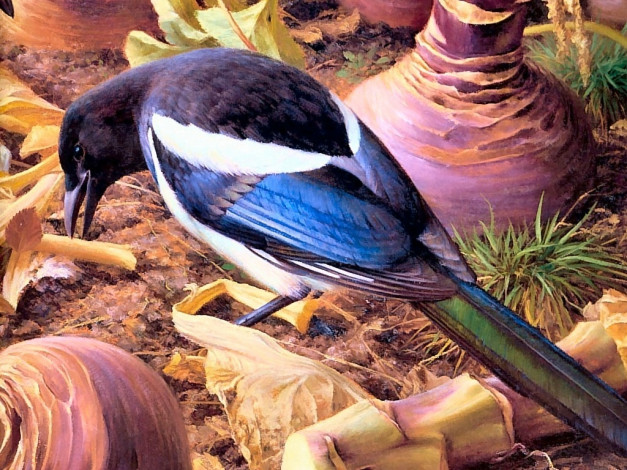 Обои картинки фото рисованные, животные, птицы