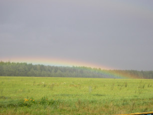 Картинка природа