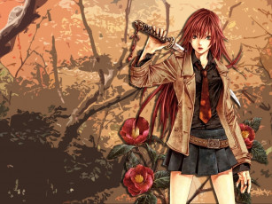 Картинка аниме weapon blood technology