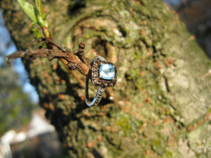 Картинка разное украшения аксессуары веера кольцо ветка