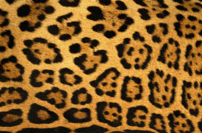 Обои картинки фото разное, текстуры, текстура