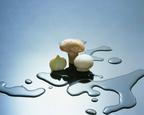 Картинка еда грибы грибные блюда