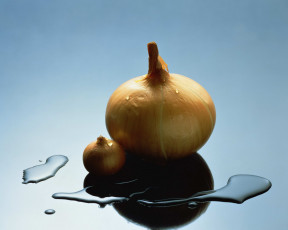 Картинка еда лук