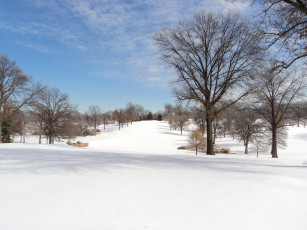 Картинка природа зима снег деревья