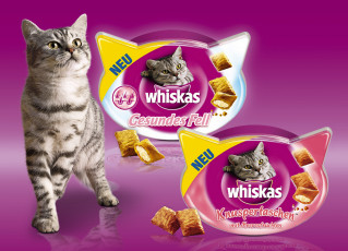 обоя бренды, whiskas, корм