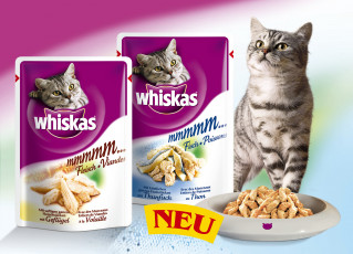 обоя бренды, whiskas, корм, кот