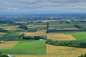 Картинка природа поля облака поле