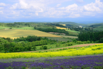 Картинка природа поля поле облака