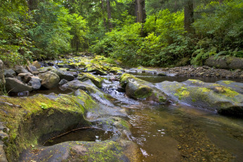 Картинка природа реки озера лес камни река