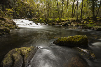 Картинка природа реки озера река лес камни деревья каскад