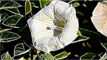 Картинка 3д графика flowers цветы цвета узор цветок фон