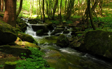 Картинка steinbachklamm austria природа реки озера лес водопад