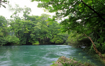 Картинка природа реки озера деревья река