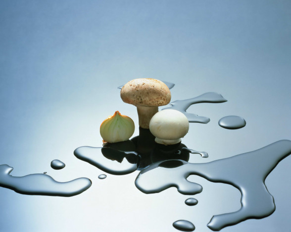 Обои картинки фото еда, грибы, грибные, блюда