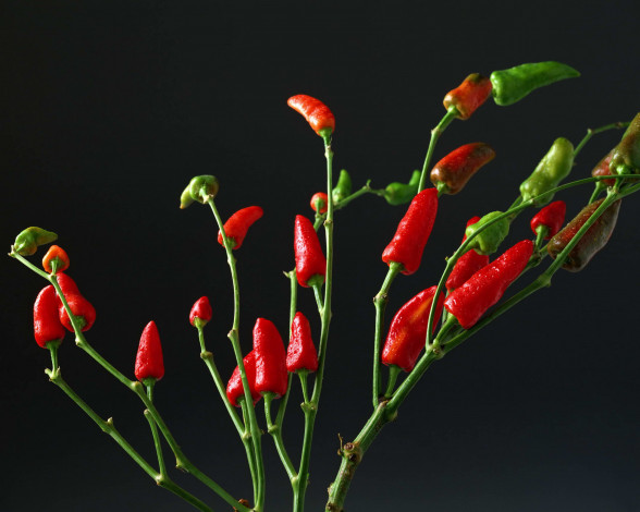 Обои картинки фото еда, перец