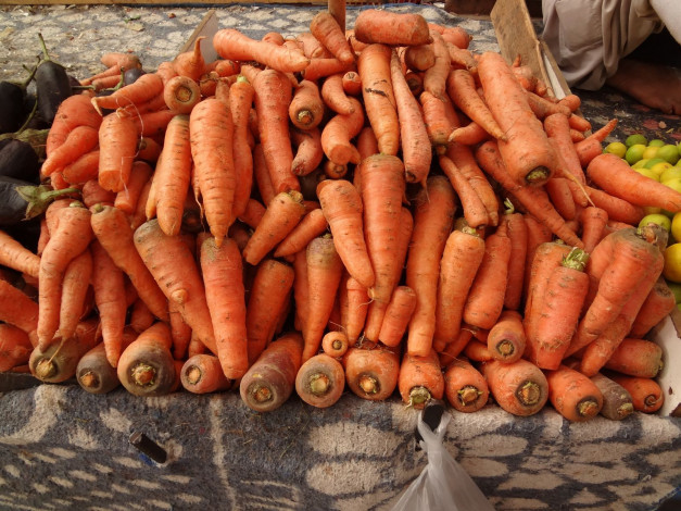 Обои картинки фото еда, морковь