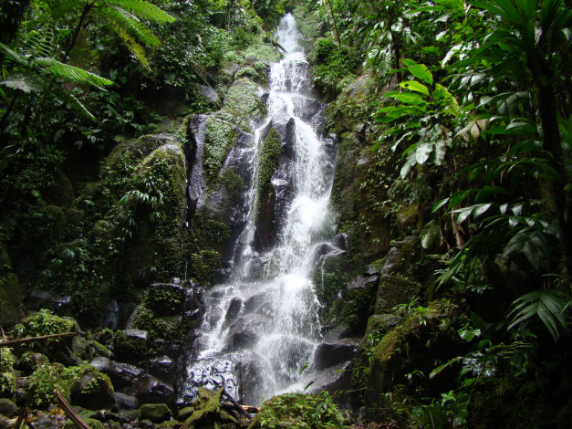 Обои картинки фото природа, водопады, лес, камни