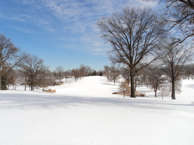 Обои картинки фото природа, зима, снег, деревья