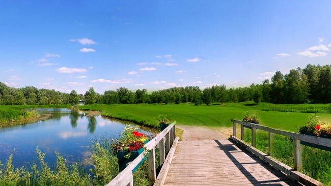 Обои картинки фото природа, реки, озера, цветы, мост, река, луг