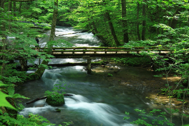 Обои картинки фото природа, реки, озера, камни, река, лес