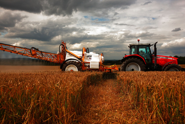 Обои картинки фото техника, тракторы, поле