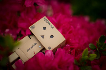 Картинка разное данбо+ danboard листики лепестки азалия цветы данбо