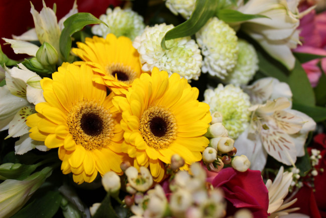 Обои картинки фото цветы, букеты,  композиции, листья, лепестки, цветение, гербера