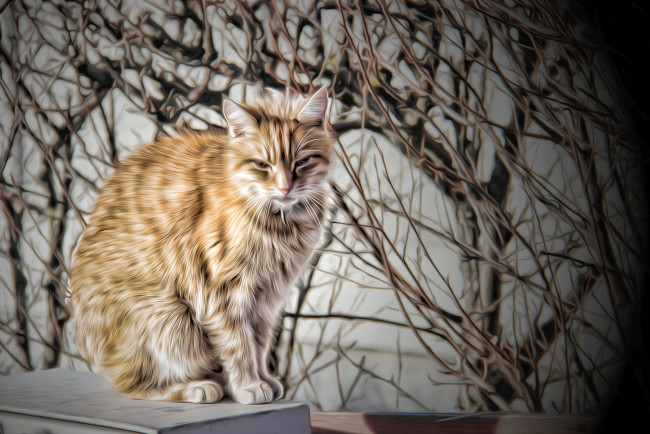 Обои картинки фото разное, компьютерный дизайн, кошка, ветки, дерево